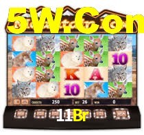 11Br